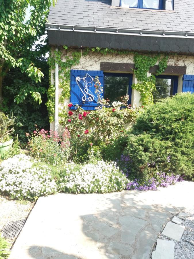 Les Mouettes 1 Gite Ou 4 Chambres D Hote, Jardin ,Bords De Loire La Bohalle Eksteriør bilde