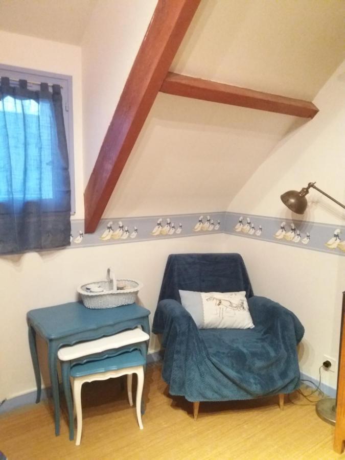 Les Mouettes 1 Gite Ou 4 Chambres D Hote, Jardin ,Bords De Loire La Bohalle Eksteriør bilde